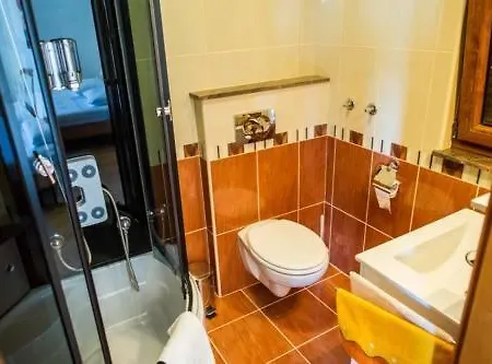 Family Friendly House With A Swimming Pool - 15176 Рогозница